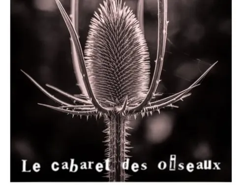 CHÂTEAUDUN - Spectacle : Le cabaret des oiseaux