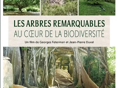 CLOYES-SUR-LE-LOIR - Projection : Les Arbres Remarquables au cœur...