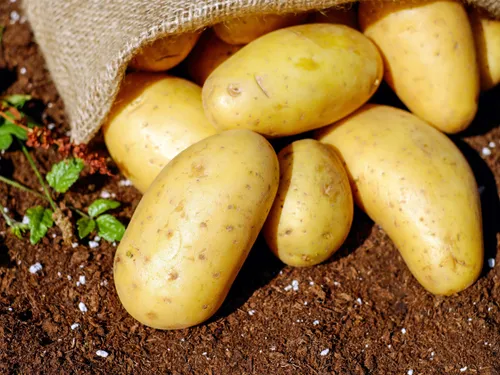 100% de produits locaux dans les assiettes pendant deux semaines 