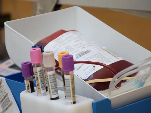 Les donneurs de sang toujours au rendez-vous dans le Dunois