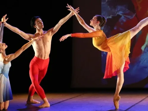 DOURDAN (91) - Ballet : Mosaïque