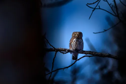 🔊 Vos idées de sorties pour les vacances de printemps