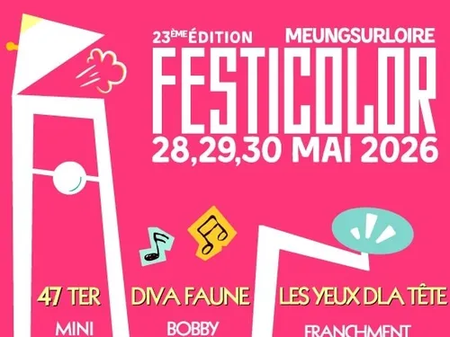 MEUNG-SUR-LOIRE (45) - Festicolor