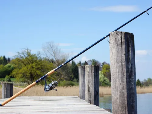 Des Euréliens à la finale régionale du "Junior Fishing Tour"