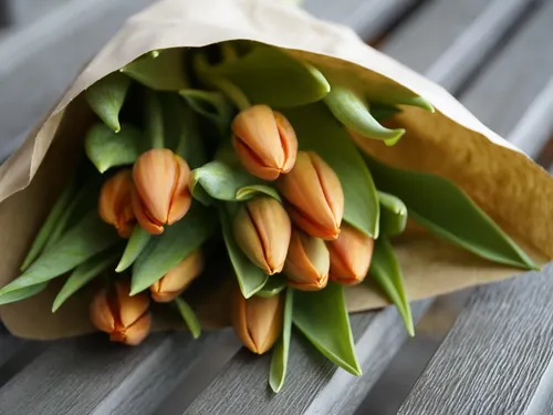 Des tulipes pour les Urgences de Châteaudun