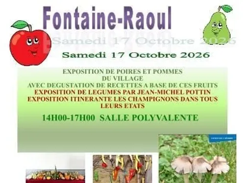 FONTAINE-RAOUL (41) - Pommes et poires du village