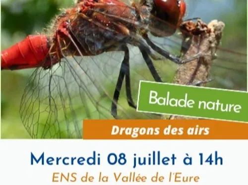 FONTENAY-SUR-EURE - Nature : Dragons des airs