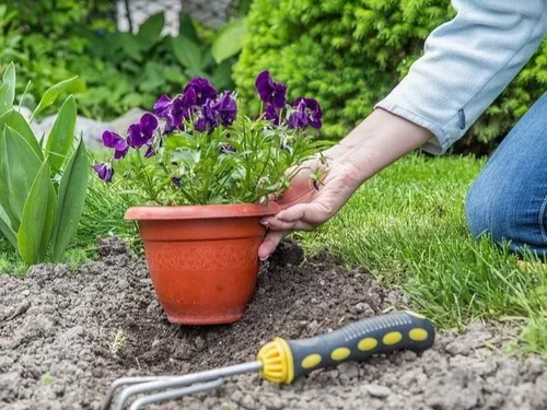Les inscriptions ouvertes à Vald'Yerre pour l'opération citoyenne