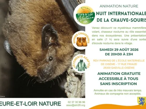 GASVILLE-OISÈME - Nuit internationale de la chauve-souris