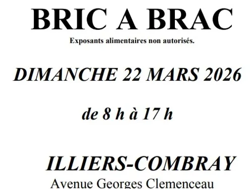 ILLIERS-COMBRAY - Bric-à-brac des Aubépines