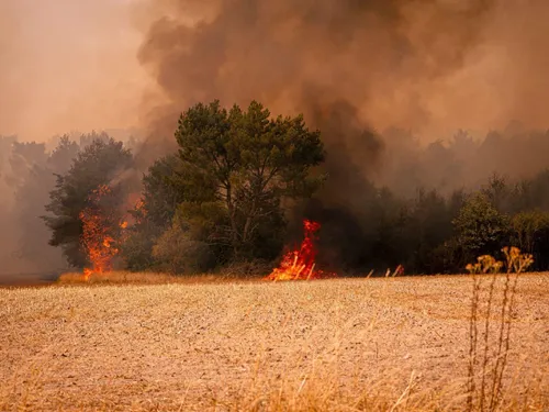 Loir-et-Cher : un pyromane interpellé grâce au sang-froid des...