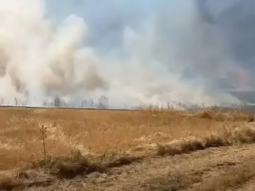Eure-et-Loir : Plus de 130 hectares ravagés par les flammes ce...