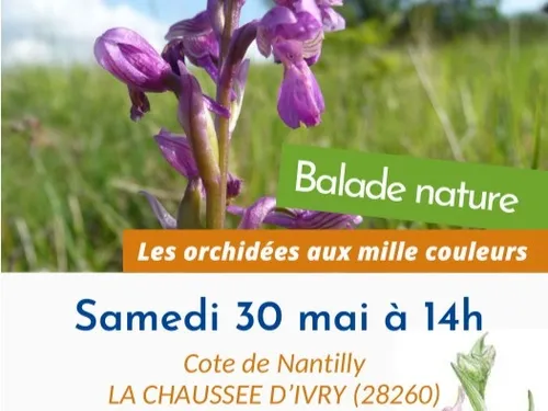 LA CHAUSSÉE-D'IVRY - Nature : Orchidées aux mille couleurs