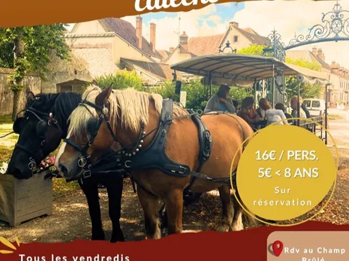 LA FERTÉ-VIDAME - Balades commentées en calèche