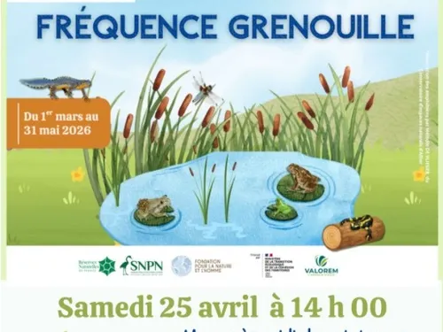 LA FERTÉ-VILLENEUIL - Nature : Les grenouilles du Moulin Rouge