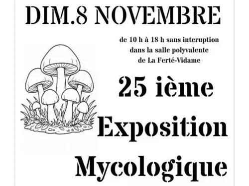LA FERTÉ-VIDAME - 25e exposition mycologique