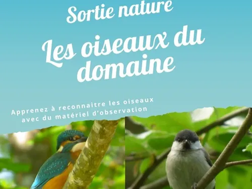 LA FERTÉ-VIDAME - Découverte des oiseaux