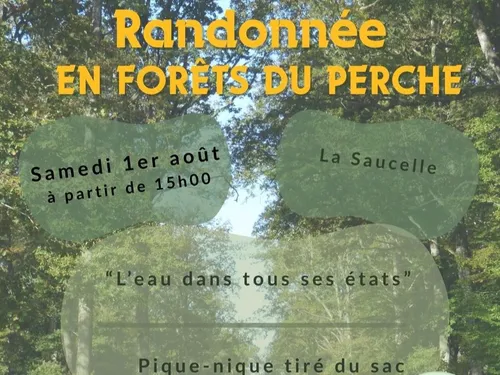 LA SAUCELLE - Randonnée en forêt du Perche