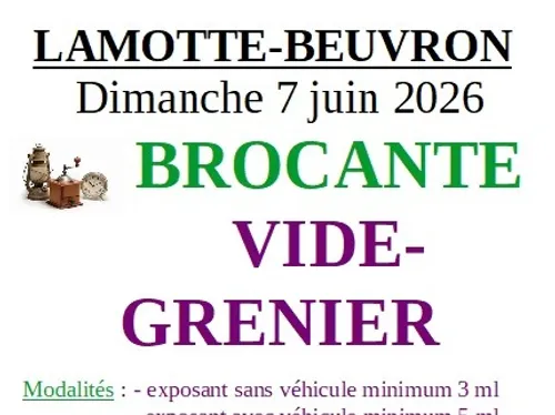 LAMOTTE-BEUVRON (41) - Brocante, Vide-greniers du comité des fêtes
