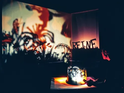 VENDÔME (41) - Saison culturelle : Femme de l'ombre