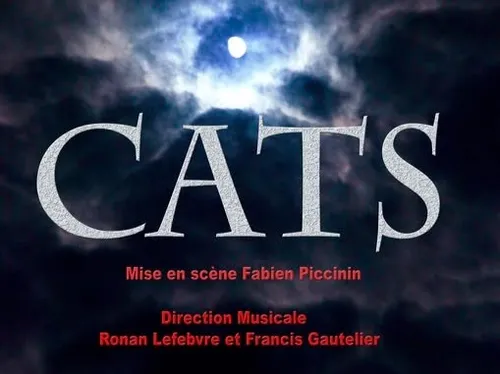 LUCÉ - Comédie musicale : Cats
