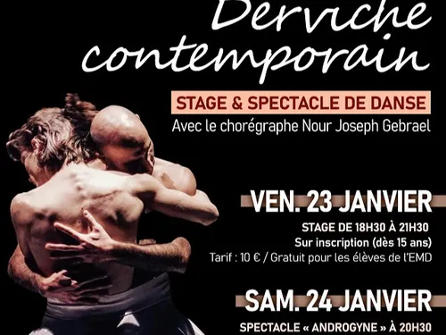 LUISANT - Spectacle de danse : Androgyne