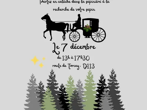 MAILLEBOIS - Sortie calèche les Sapins du Thymerais