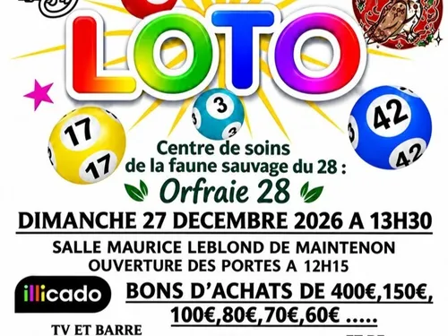 MAINTENON - Loto d'Orfraie 28