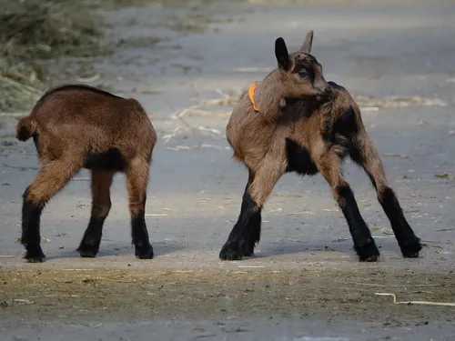 Deux visites guidée de l’Abbaye de Nottonville