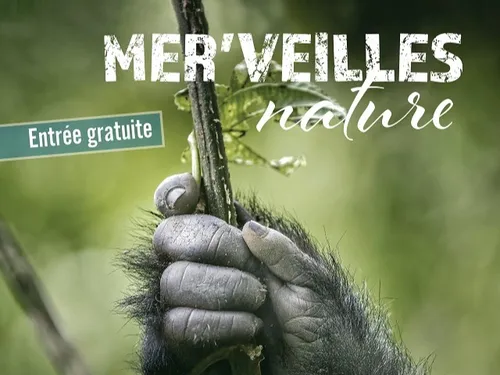 MER (41) - Festival photo animalière & nature : Mer'Veilles Nature