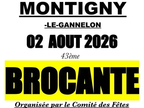 MONTIGNY-LE-GANNELON - Brocante du comité des fêtes