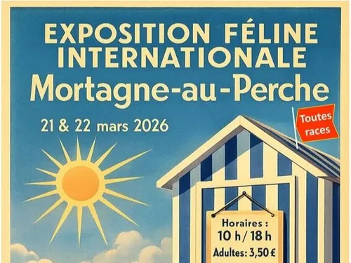 MORTAGNE-AU-PERCHE (61) - Exposition féline internationale