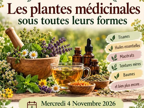 NOGENT-LE-ROTROU - Circonflexe : Conférence sur les plantes...
