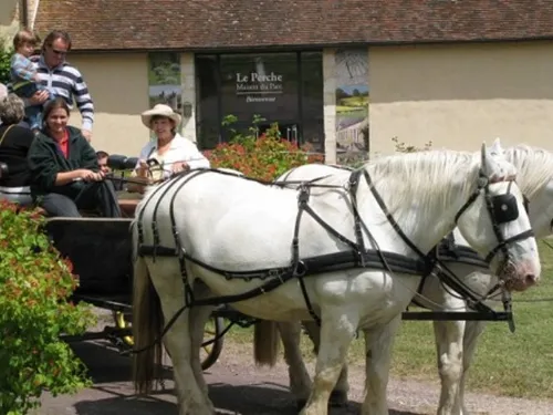 VERNEUIL-SUR-AVRE (27) - Histoires en calèche