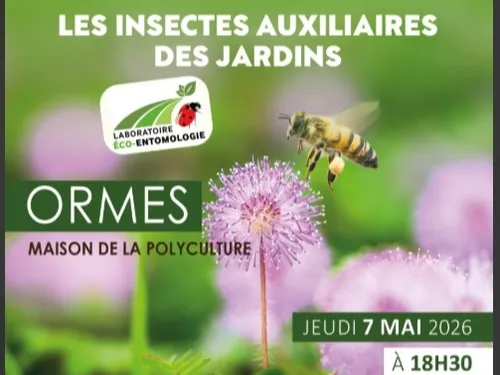 ORMES (45) - Conférence : Les insectes auxiliaires des jardins