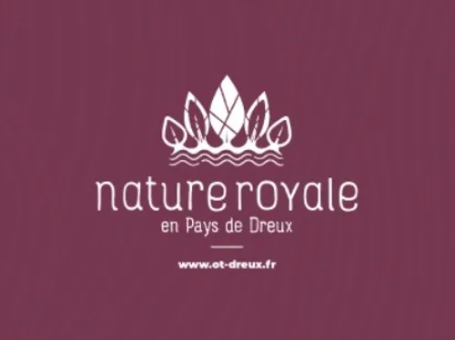 DREUX - Super défis sportifs