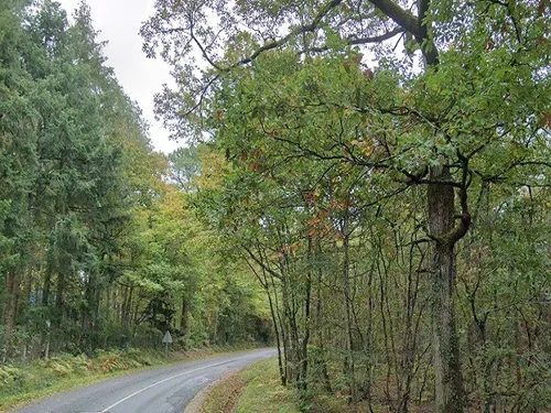 PEZOU – Deux jeunes tués dans l'accident de leur voiture