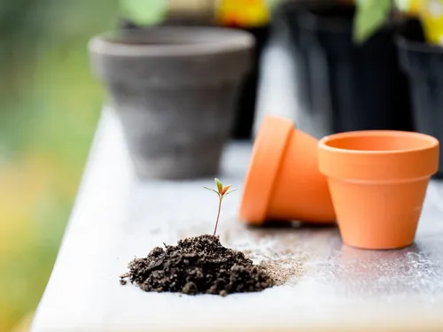 Le printemps s'installe à Lèves le temps d'une journée
