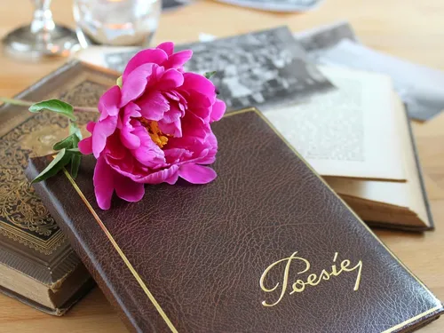 🔊 Une journée pour que la poésie « parle » à tous en Eure-et-Loir