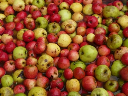 21e édition de la Fête de la Pomme
