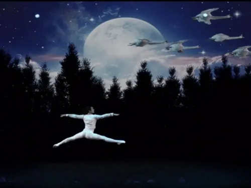 ÉPERNON - Saison culturelle : Le L@c des cygnes