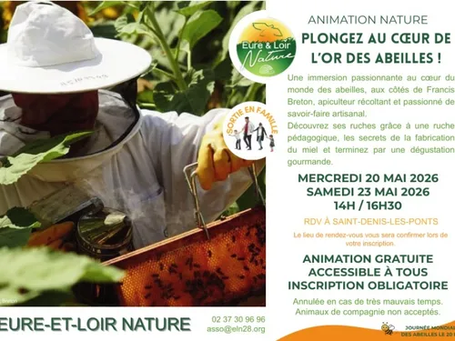 SAINT-DENIS-LES-PONTS - Nature : Plongez au cœur de l'or des abeilles