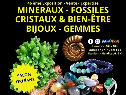 SAINT-JEAN-LE-BLANC (45) - 46ème salon minéraux fossiles, gemmes et...