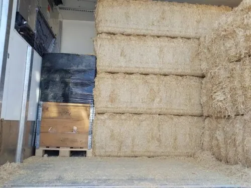 Saisie record sur l'A10 : plus de 240 kg de cocaïne interceptés par...