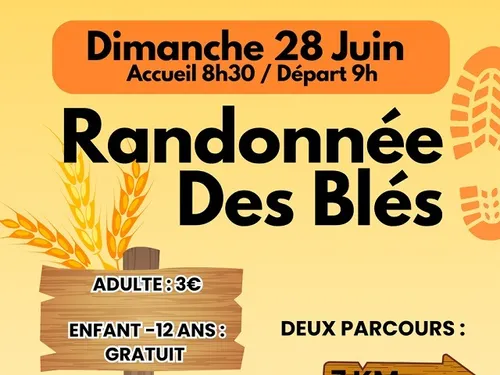 SANCHEVILLE - Randonnée des blés