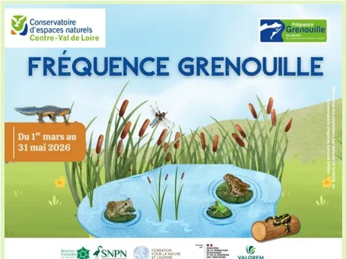 SENONCHES - Nature : Sortez couvert