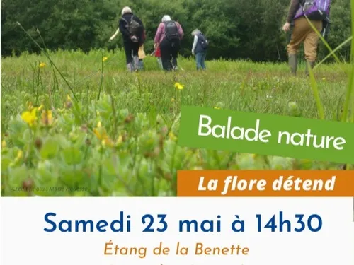 SENONCHES - Nature : La flore détend