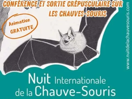 SENONCHES - Nature : Vol de nuit