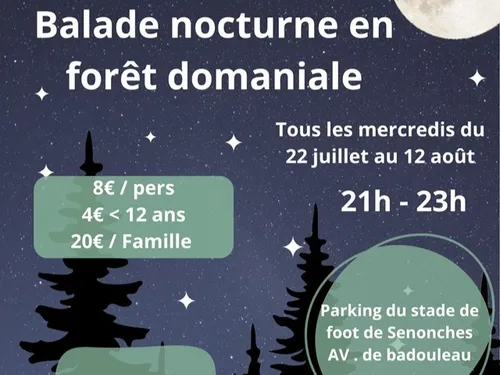 SENONCHES - Balade nocturne en forêt de Senonches