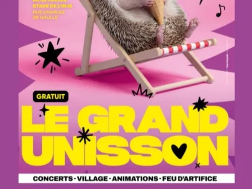 SAINT-JEAN-DE-LA-RUELLE (45) - Festival Le Grand Unisson